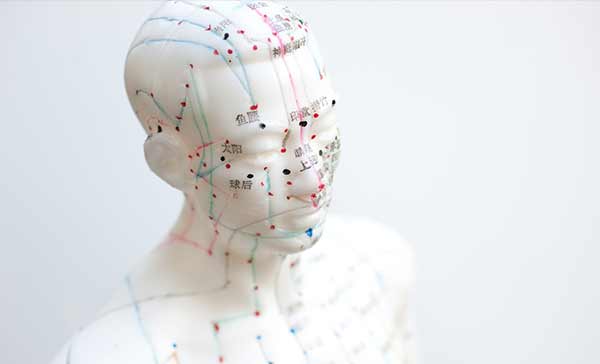 2-temperament-img-2-N