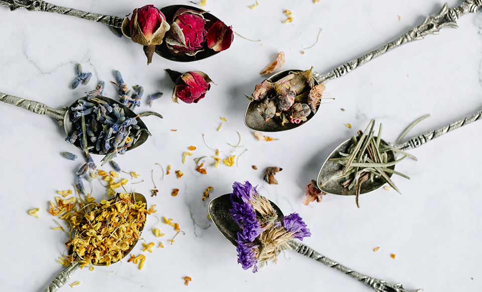 The Healing Power of Reflexology – More Than Just a Foot Massage