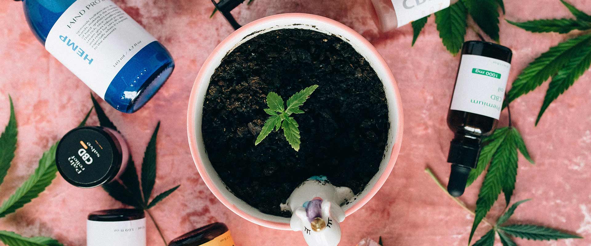 Simply Health slide 2